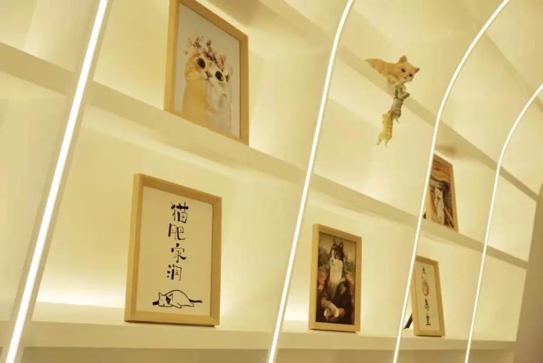 【无需预约·初见猫咪】撸猫的乐趣谁能拒绝!仅需19.9/29.9元即可享门市价136/186元双人撸猫门票/撸猫门票饮料套餐,双人撸猫门票两张+桌游区、电玩区(PS4、任天堂switch)畅玩一个半小时+猫零食一份