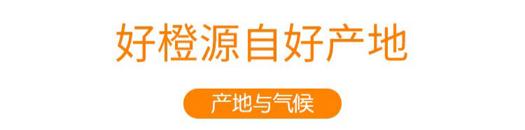 【方联与您一起嗨购双12|基地抄低价直供】仅14.8元=5斤,19.9=9斤抢麻阳冰糖橙!冬季维C之王,纯甜爆汁,比喝橙汁还过瘾