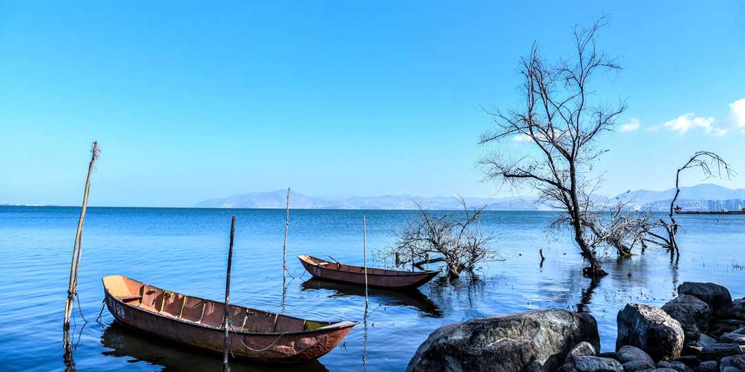 图片[1]-长沙团购|开启环洱海的正确打开方式【大理环洱海旅游观光巴士】现98/118元享396元的大理环洱海旅游观光巴士套餐丨环游苍洱，畅行大理，眺望无尽碧海蓝天，亲临“诗与远方”~-汪汪快报