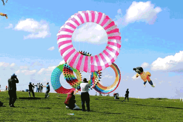 萌宠机智灵活,各项杂技表演得心应手 小狗,山羊,猴子…让您过足