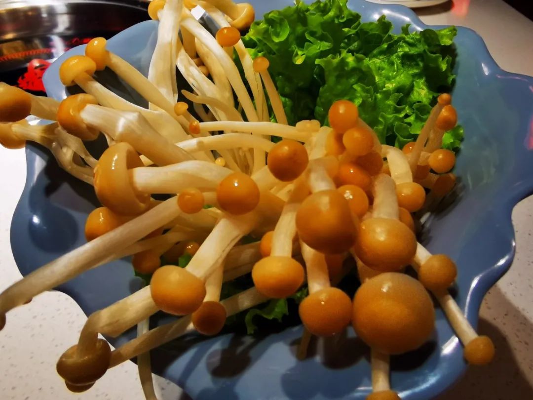【南大街中大国际|大味火锅】1周年庆大促,抢到就是赚到!149元抢门市价336元的大味火锅3-4人餐,千层牛肚,喷火牛肉,大味肥牛,乌鸡卷,鲜鸭血,撒尿牛肉丸,海带苗,金针菇,川粉带,油麦菜..手工炒料,空运食材!
