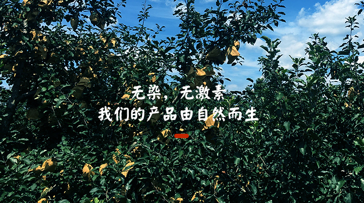【百梨之王丨一口润喉止咳】超100000人称赞,爆甜无渣,可食用率高达91%!仅29.9元抢价值39元的山东秋月梨!产地直发,洁白晶莹,肉多核小~爆甜多汁的冰糖秋月梨,咬着喝梨汁!
