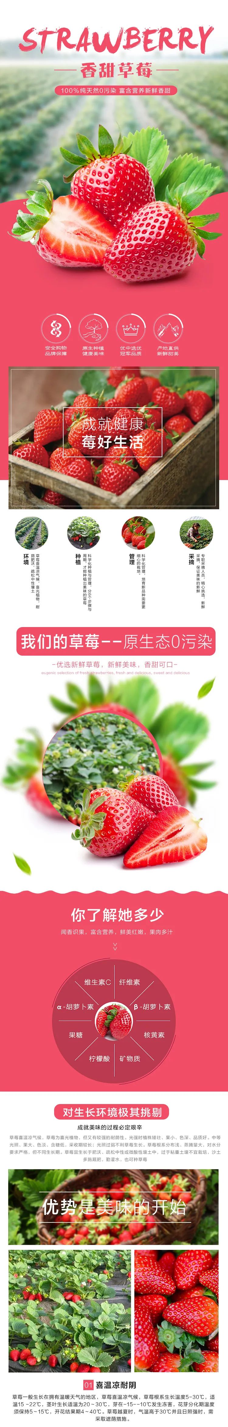 限时抢购!【易果甜草莓采摘园】48元享受极致的优惠2大1小亲子出游,草莓采摘1斤可带走,门市价:99元,你还在等什么!