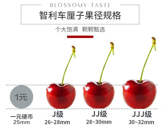 脆嫩多汁的智利车厘子火热回归!199元=单j4斤,139元=双j2斤!