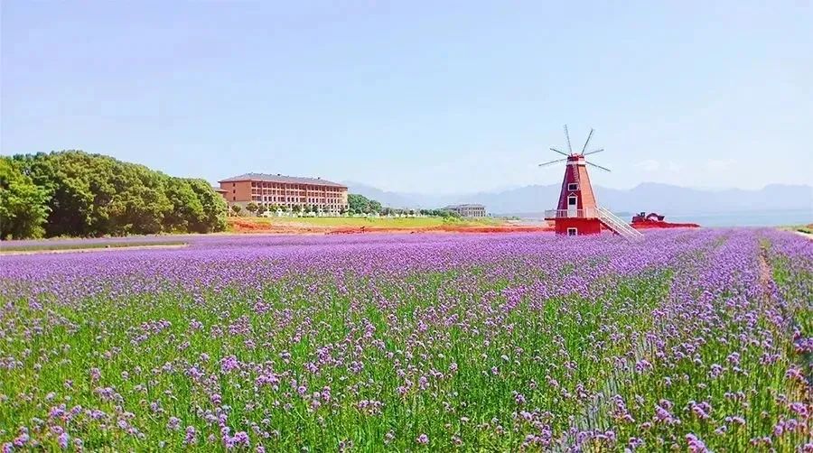 2大1小花千谷景区大门票 2大庐山西海花千谷庐山西海花千谷景区花千谷