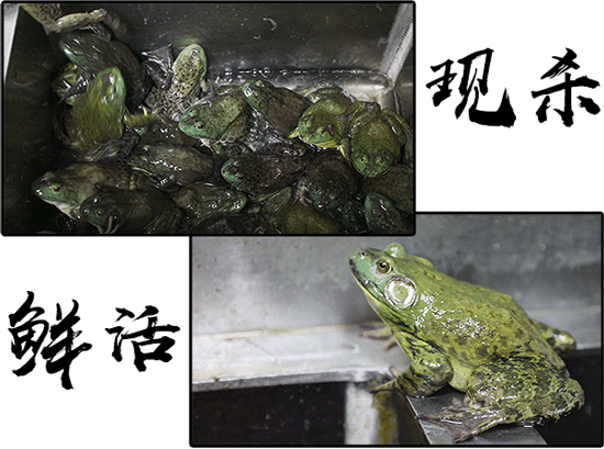 【免预约&青火藤牛蛙&西子国际】仅78元抢【牛蛙爱上虾】3~4人餐!香辣,紫苏,酱香,蒜香,孜香藤椒,香茅(口味六选一)现点现做,新鲜美味,配菜丰富!活蛙约4斤