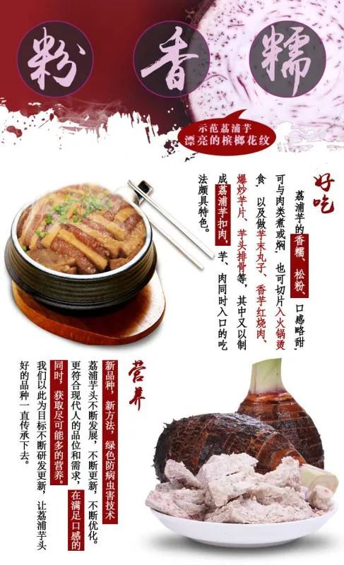 【乾隆钦点·皇室贡品】连乾隆皇帝也是它的忠实粉丝!仅29.9元抢【荔浦芋头】5斤中果装,现挖现发,粉糯香甜,健脾祛湿,进补好食材!入口即化的“贡品级”荔浦芋头,一秒甜进你心窝!