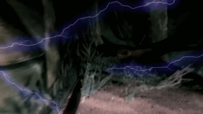14.gif 【无需预约】海洋文化触手可及!让娱乐走进生活圈! 39.9元抢【海昌奇妙小鱼家】一大一小亲子票,海星、电鳗、淘气堡···玩学海底世界!