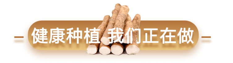【千千生鲜 | 神仙之食】山中之药、食中之药!仅28.8元=5斤装抢【铁棍山药】,产地直发,蔬菜界的“白月光”,养身滋补必备圣品!