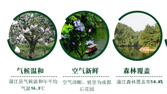 【千千生鲜】果肉饱满,果粒充盈水嫩,富含超多VC!29.9元=大果5斤,39.9元=大果9斤,抢【正宗四川不知火丑橘】,原产直达,品质保证!