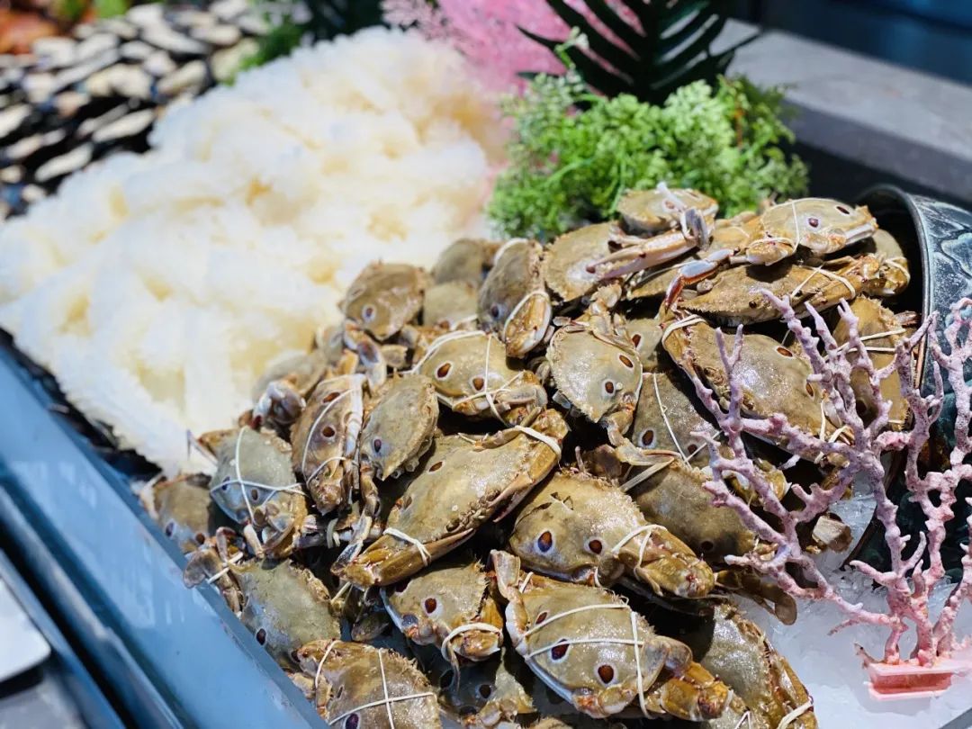 【无需预约·节假日通用·地铁直达·牛其林自助海鲜烤肉火锅餐厅(余之城店)】现仅79/88元享超划算的1大1小午市/晚市自助套餐!阿根廷红虾、铁板牛排、海鲜、烧烤、刺身、煎扒、热菜...近300种菜品,超丰富品类!朋友聚会公司聚餐情侣约会打卡地!