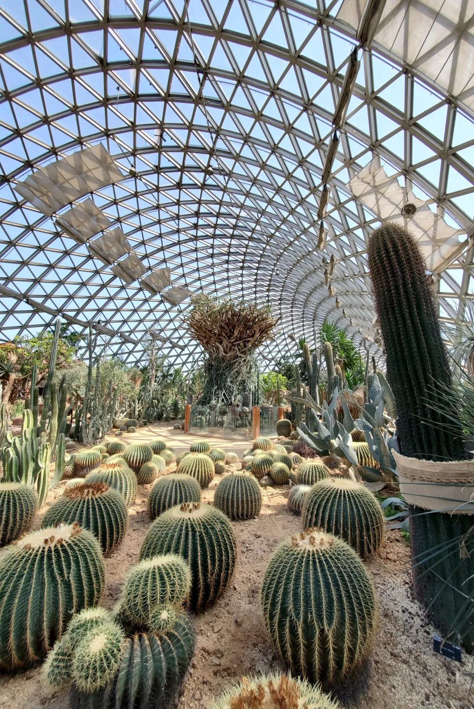 【春节清明五一不加价】绿地旗下高星酒店,承包你2021上半年欢乐假期!799元=两晚【上海新桥绿地铂骊酒店】豪华房套餐!轻松打卡佘山、欢乐谷、七宝古镇...