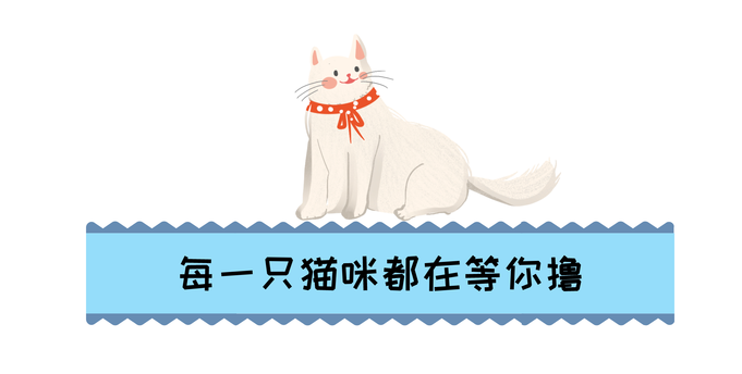 【无需预约·初见猫咪】撸猫的乐趣谁能拒绝!仅需19.9/29.9元即可享门市价136/186元双人撸猫门票/撸猫门票饮料套餐,双人撸猫门票两张+桌游区、电玩区(PS4、任天堂switch)畅玩一个半小时+猫零食一份