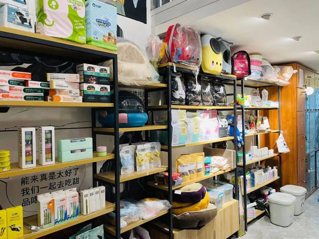 【净月区大学城·橘子猫咖】39.9/59.9元抢门市价210/260元套餐=饮【饮品2杯/薯条1份或精品烤肠2根/猫条2份+门票2鞋套2】 【宠物洗护/耳部护理/剃底毛/清洁肛门腺...】吃喝撸猫,可以泡上一整天!来开启你们的幸福撸猫时刻吧
