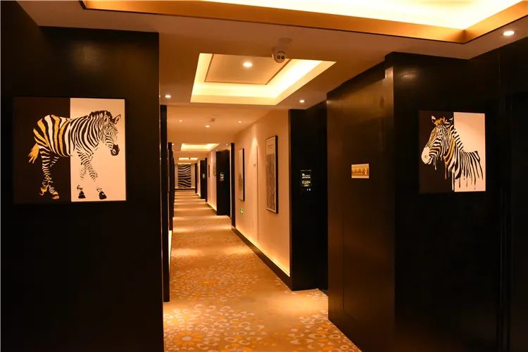 【元旦春节皆可预约】499元起打卡【龙之梦动物世界大酒店】!双旦特惠来袭!动物主题房1晚+双人自助早餐+双人动物世界步行区门票(含免费车行区小火车)+双人图影湿地门票,免费观赏35000平太湖水舞秀!