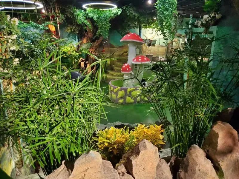 【西北shou家·室内动植物主题·亲子互动乐园 】3500㎡+60余种动物+100余种绿植蔬果~98元抢【Mini Zoo 萌宠王国】1大1小亲子票~138元抢2大1小家庭票!全实景打造,还原动物生态家园~