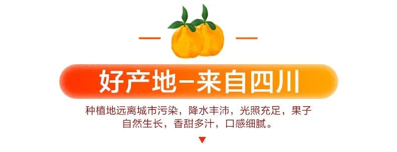 【千千生鲜丨国家地理标志产品-四川不知火丑橘】“柑橘皇后”,好吃不上火!仅29.9元=净重8.5-9斤抢价值79元不知火丑橘!一口爆汁,肉质鲜嫩,爽口化渣!
