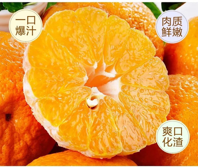 【千千生鲜丨国家地理标志产品-四川不知火丑橘】“柑橘皇后”,好吃不上火!仅29.9元=净重8.5-9斤抢价值79元不知火丑橘!一口爆汁,肉质鲜嫩,爽口化渣!