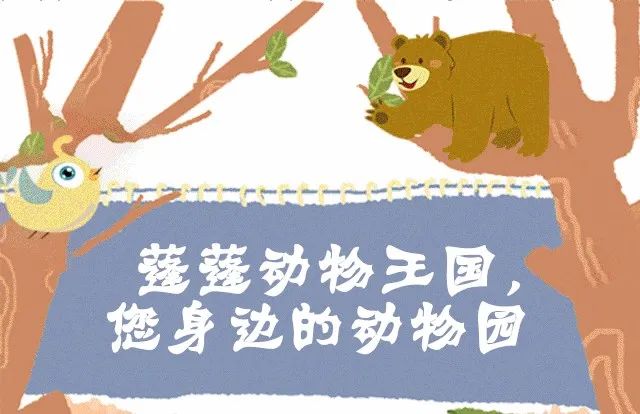 【寒假特惠|云岩万达蓬蓬动物王国|元宵节通用】3000㎡超大乐园!+八个观赏区+动物表演+动物互动+儿童乐园……超多体验,现仅需49.9/79.9元即可抢购门市价138/188元单人门票/亲子套票一份,有效期至4月30日,速速囤票!