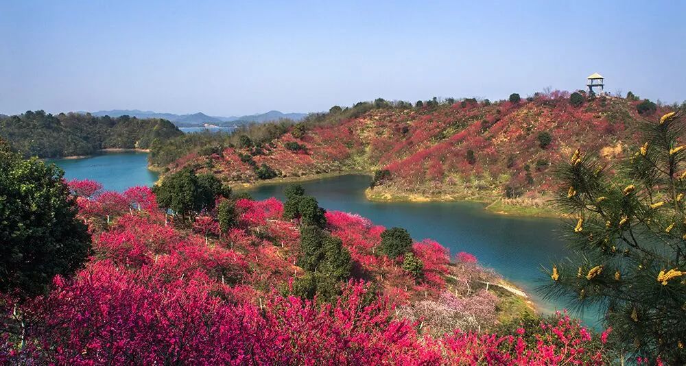 【庐山西海花源谷】赏桃花,观湖景,听涛声,现78元享门市价135【花源谷门票+游船票+观光车票】诗情画意~古筝声声观花落~~~