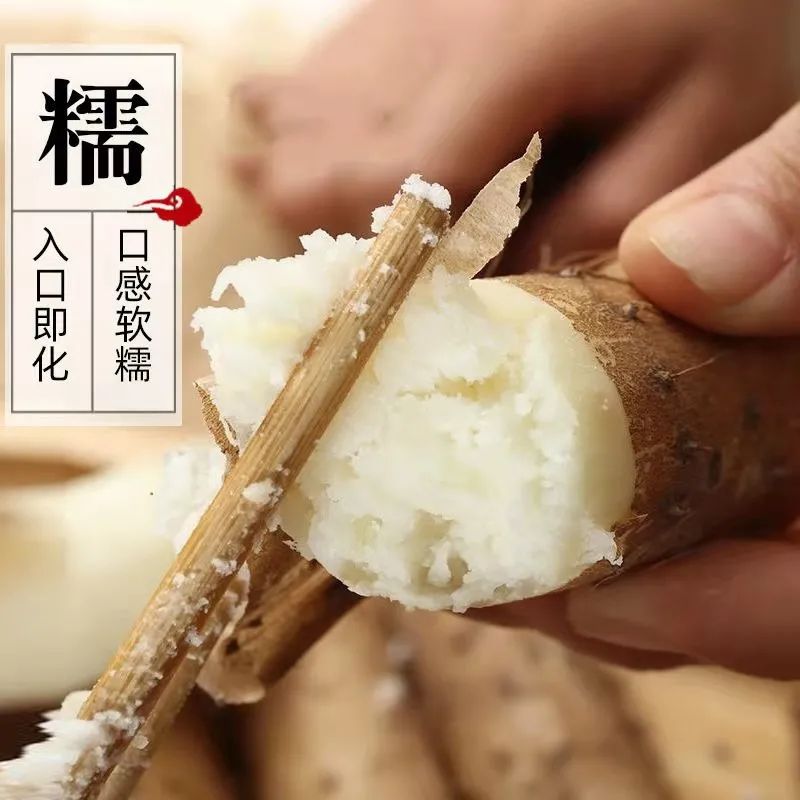 【千千生鲜 | 神仙之食】山中之药、食中之药!仅28.8元=5斤装抢【铁棍山药】,产地直发,蔬菜界的“白月光”,养身滋补必备圣品!