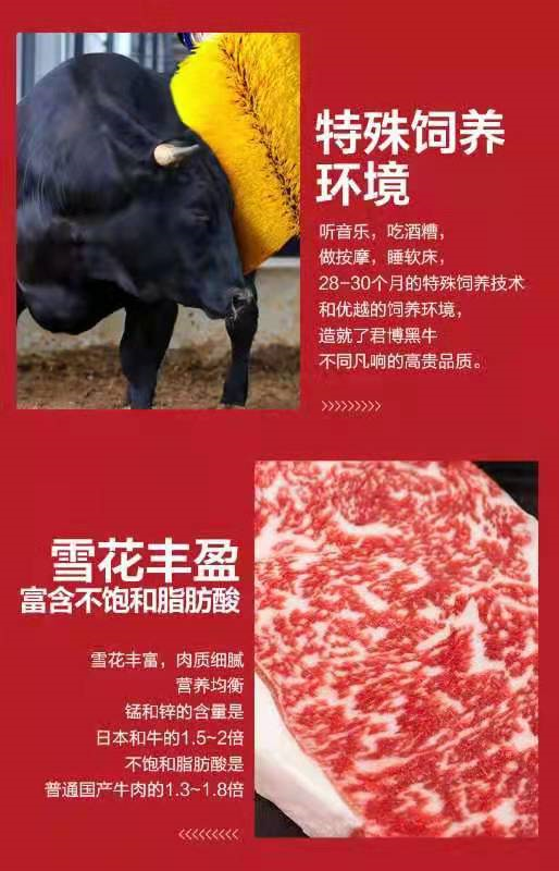 【无需预约·西湖文化广场·丰畈亭和牛自助火锅】君博牛业牧场特供丨国宴指定牛肉品牌!只需尝一口,馥郁的口感足以治愈灵魂!现仅158元即可享1大1小和牛自助火锅,特A级和牛无限量,更有各式海鲜!自助式畅吃,一顿实现真正的和牛自由!!!!